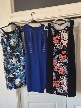 Dressbarn, Guess & Slinky Brand Dress Bundle Sz 8/ Medium